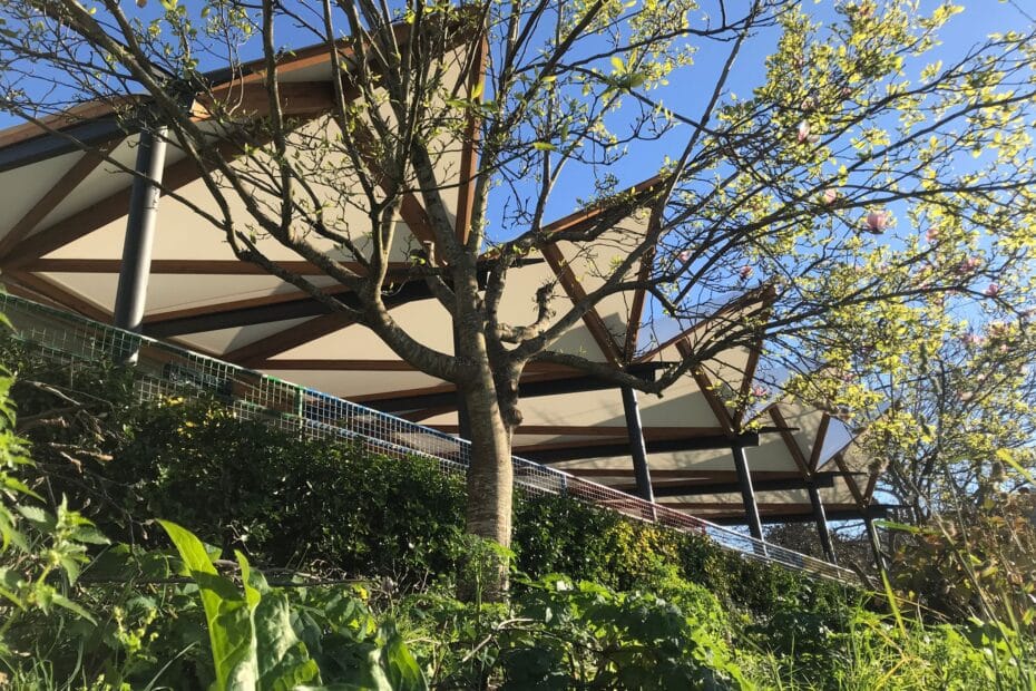 Patio cubierto con estructura de madera a base de geometría triangular y lona blanca.